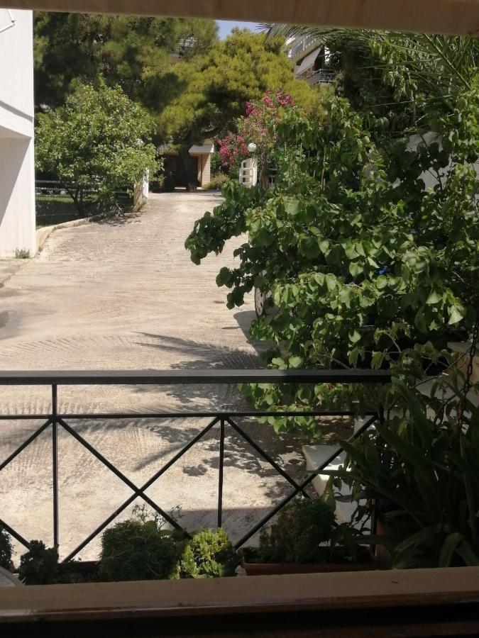 Sunny Garden Studio 아테네 외부 사진